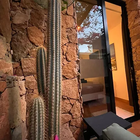 Casa Senna