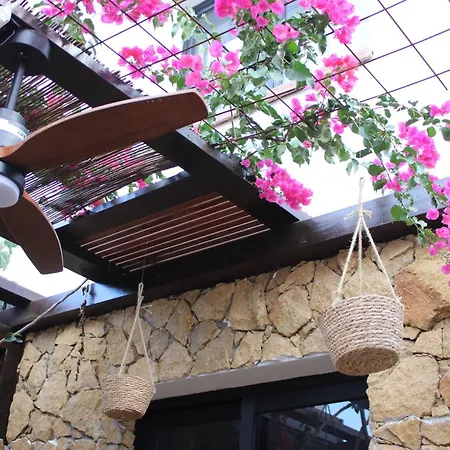 Casa Senna