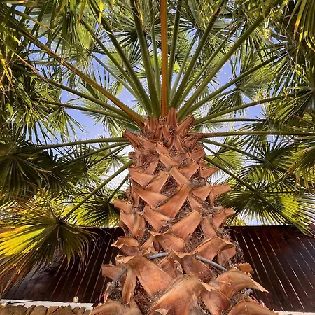 Casa Senna * 科拉雷侯