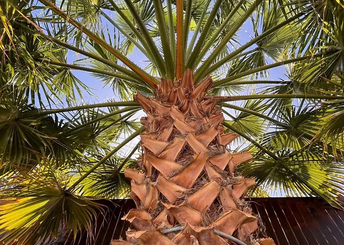 Casa Senna * Corralejo